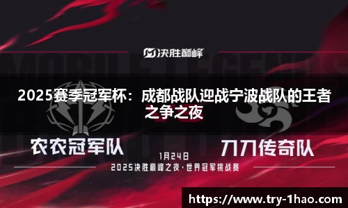 2025赛季冠军杯：成都战队迎战宁波战队的王者之争之夜