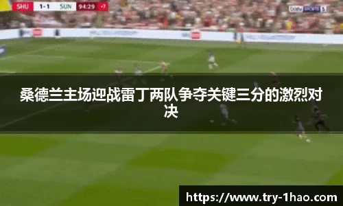桑德兰主场迎战雷丁两队争夺关键三分的激烈对决